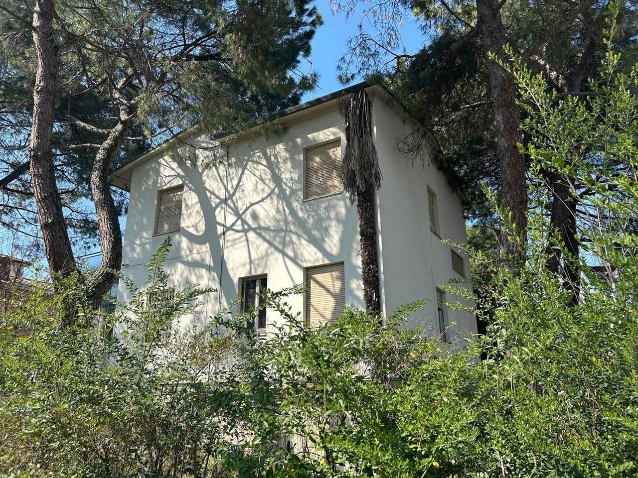 immagine annuncio 1 di 12