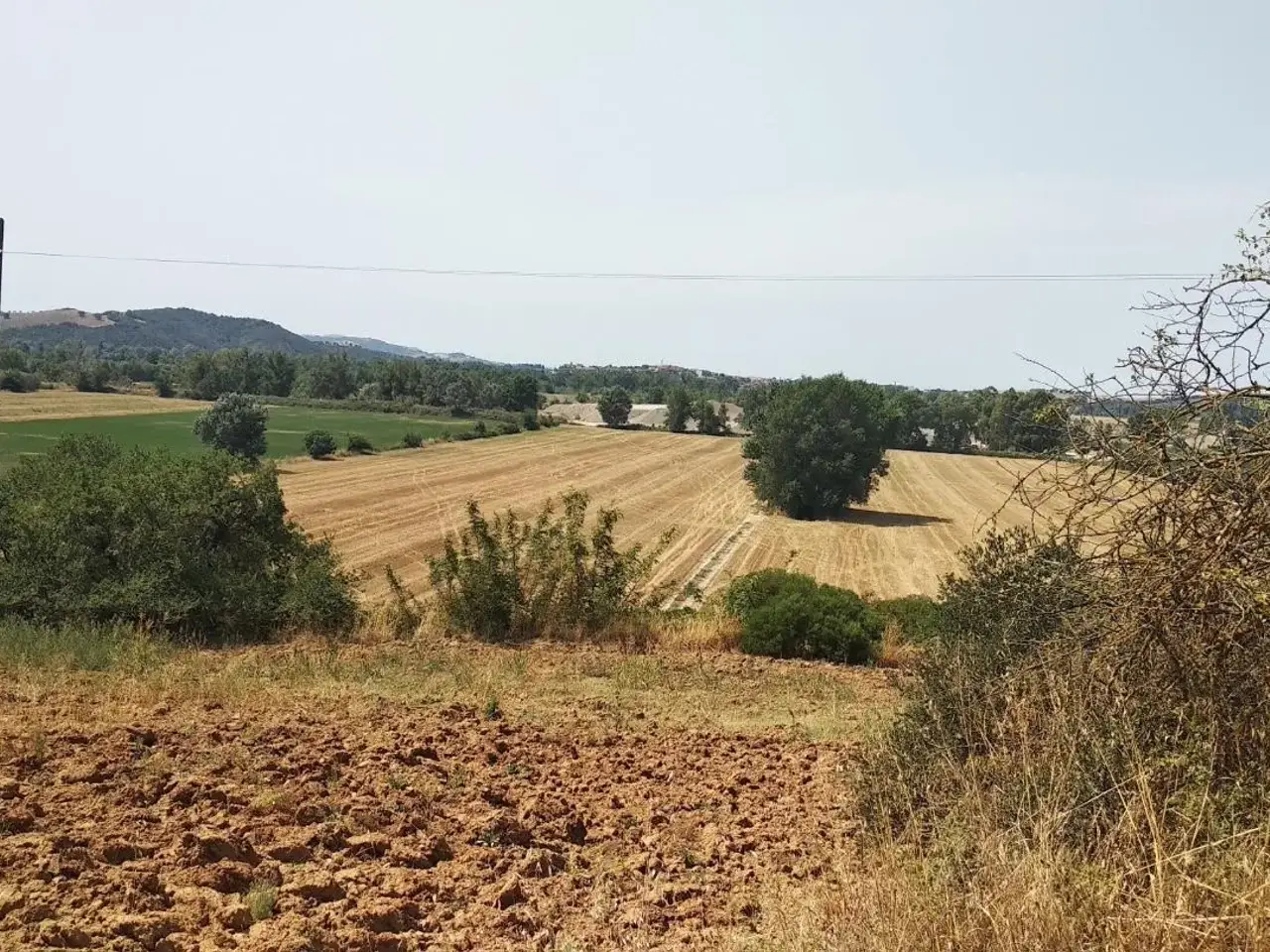 Azienda agricola in To 6, Grosseto, {3} - Foto 1