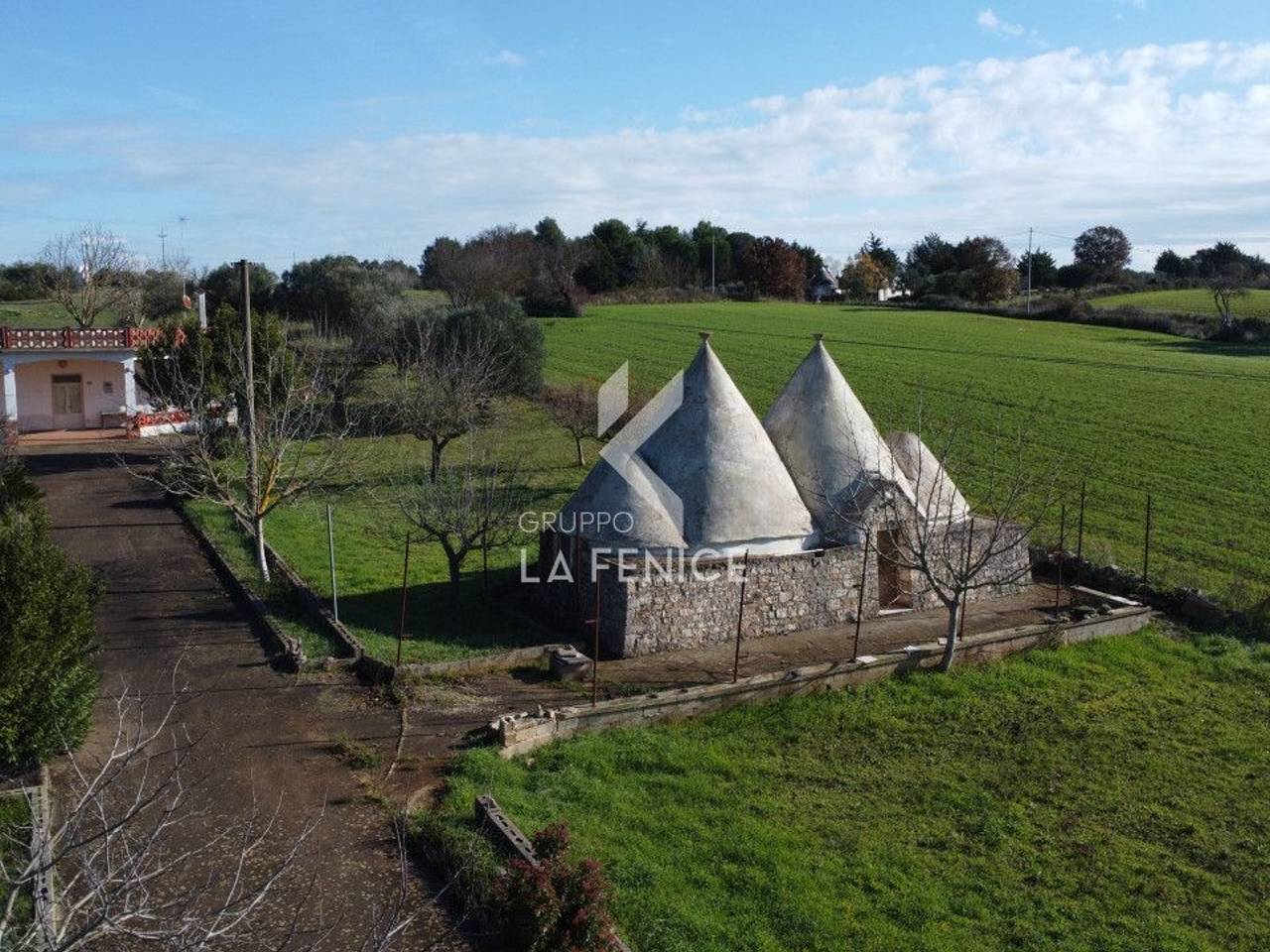 immagine annuncio 11 di 15