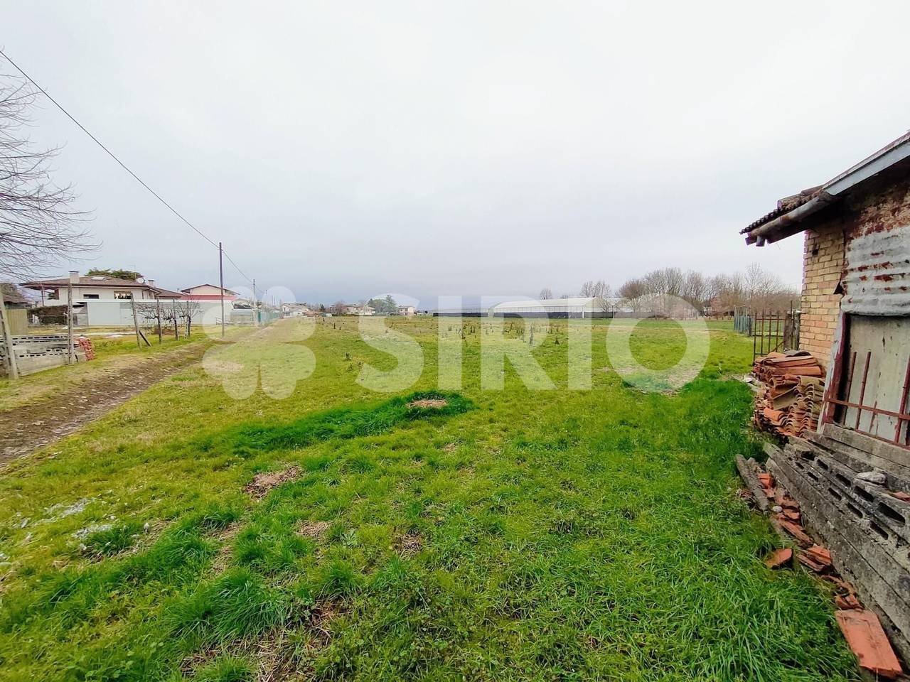 immagine annuncio 2 di 3