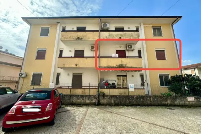 insertion image