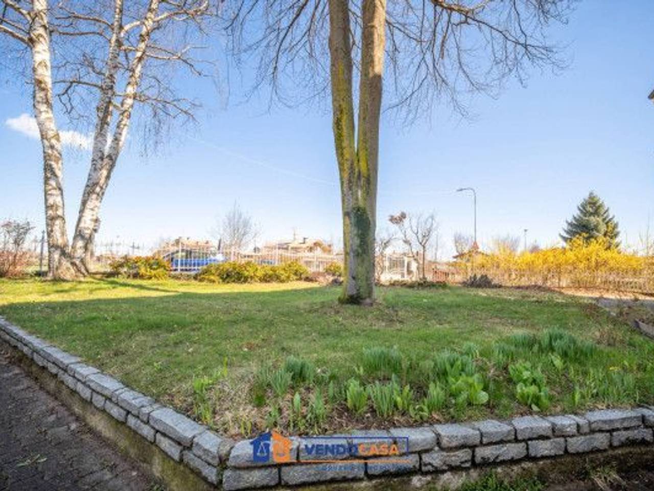 immagine annuncio 11 di 14