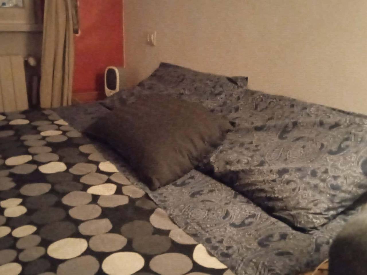 immagine annuncio 2 di 4