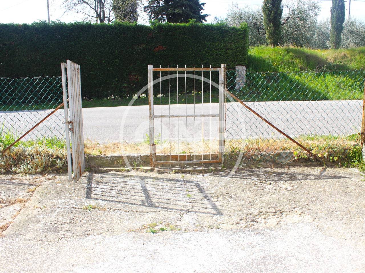 immagine annuncio 3 di 12