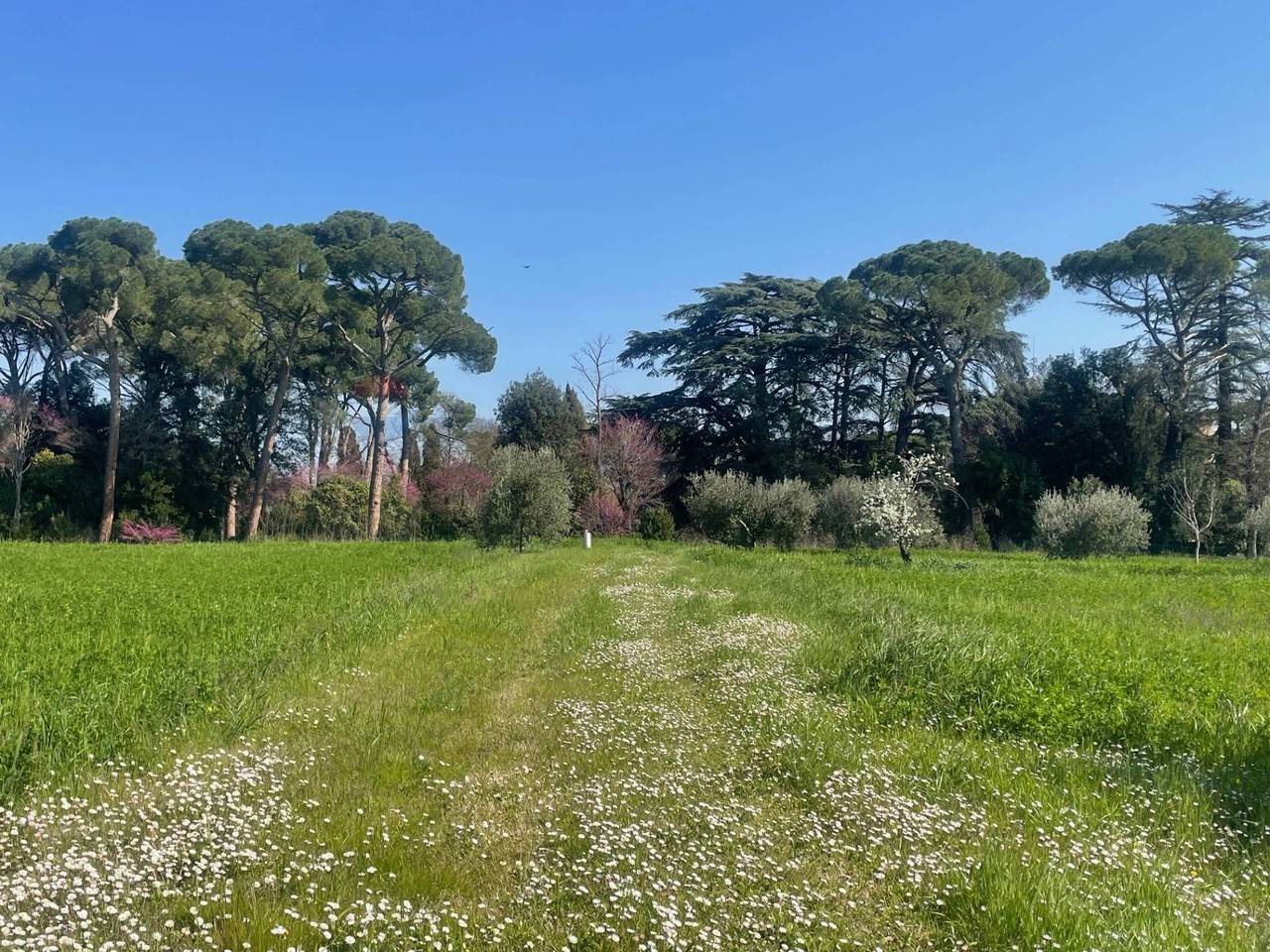 immagine annuncio 6 di 7