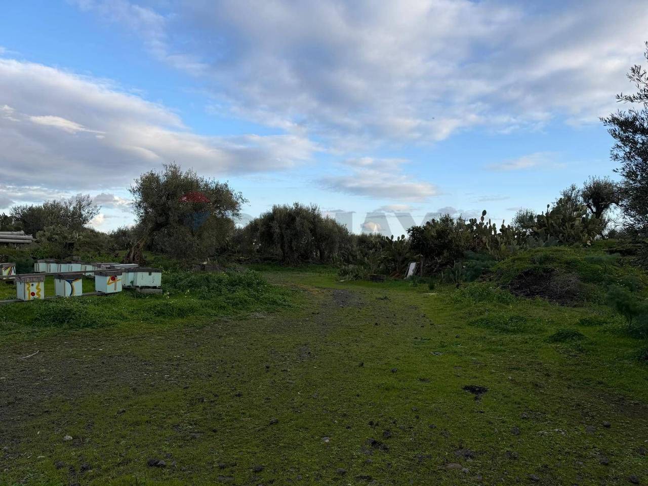 immagine annuncio 5 di 6