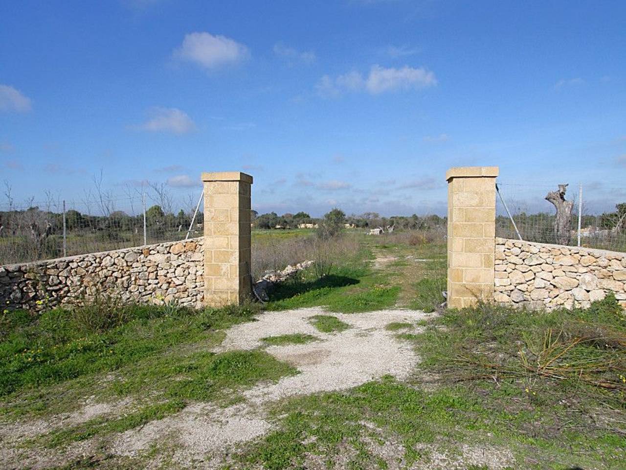 immagine annuncio 13 di 15