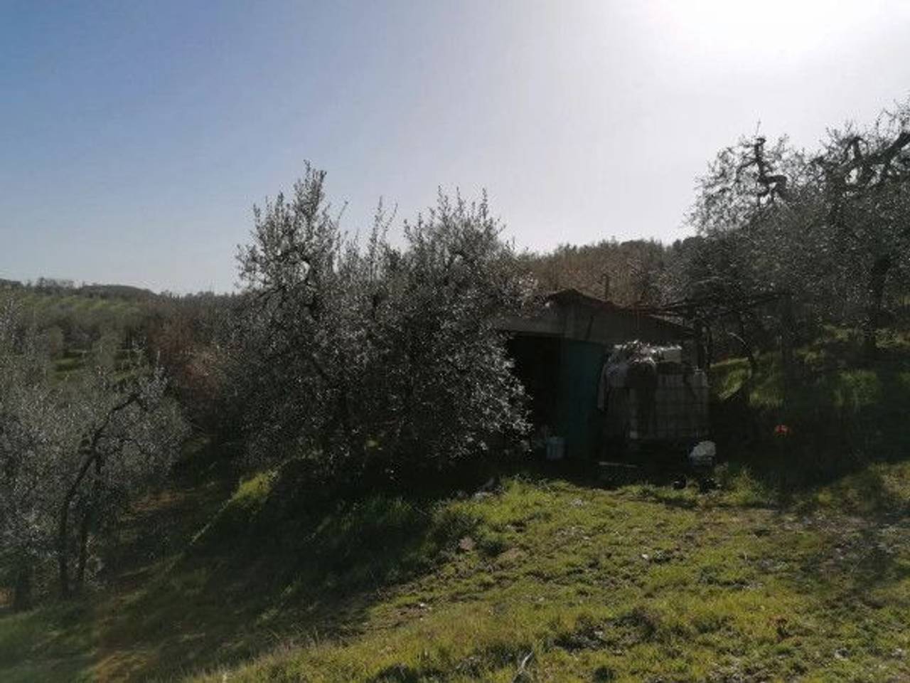 immagine annuncio 2 di 6