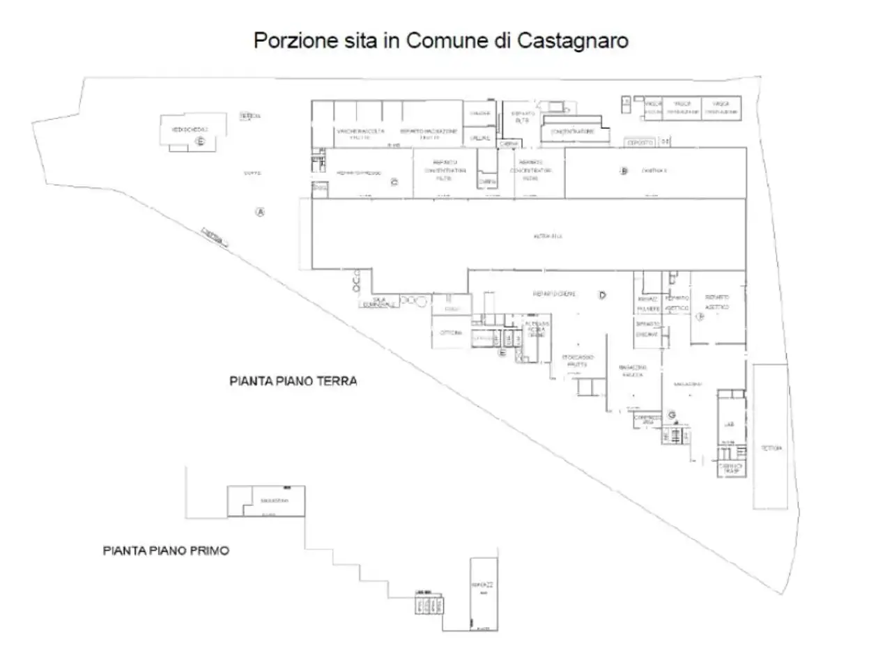 Capannone in Via Borgonovo 1101, Castagnaro, {3} - Planimetria 1
