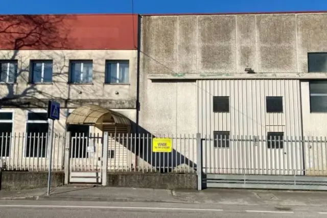 insertion image