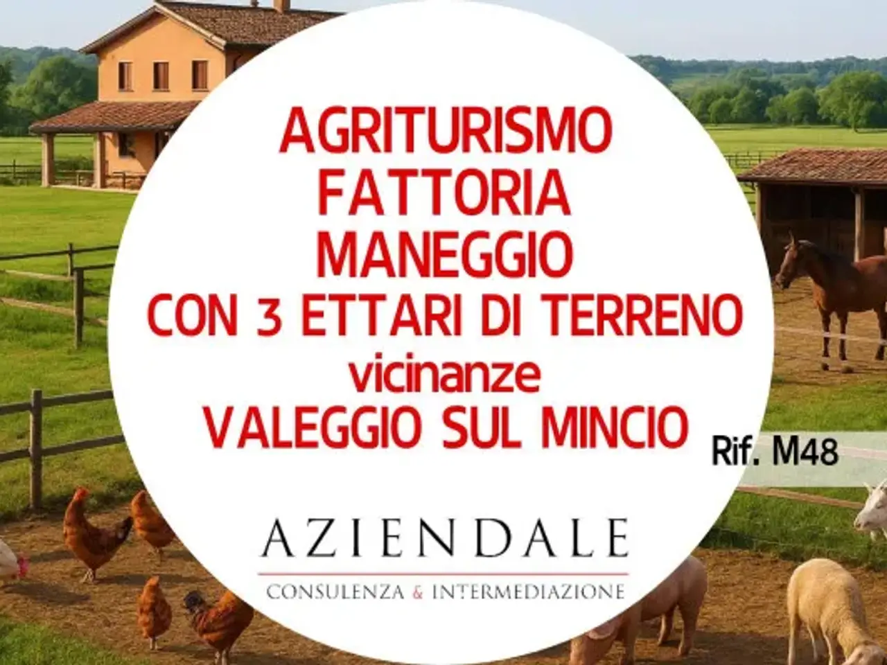 Agriturismo in , Valeggio Sul Mincio, {3} - Foto 1