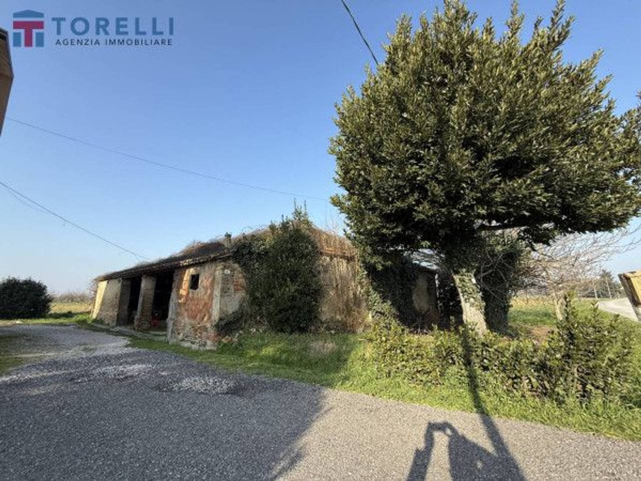 immagine annuncio 3 di 13