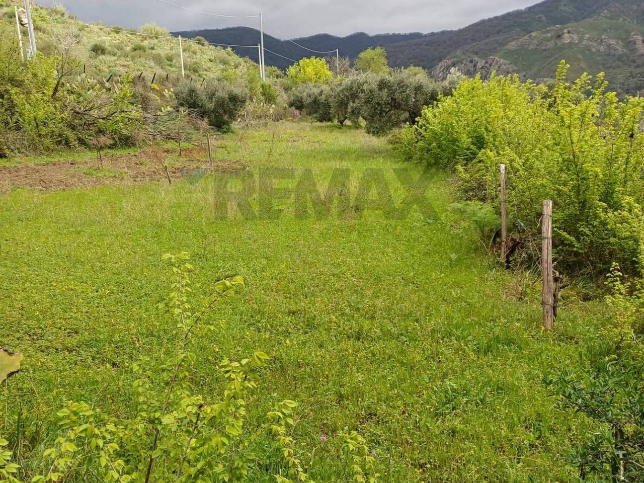 immagine annuncio 1 di 6