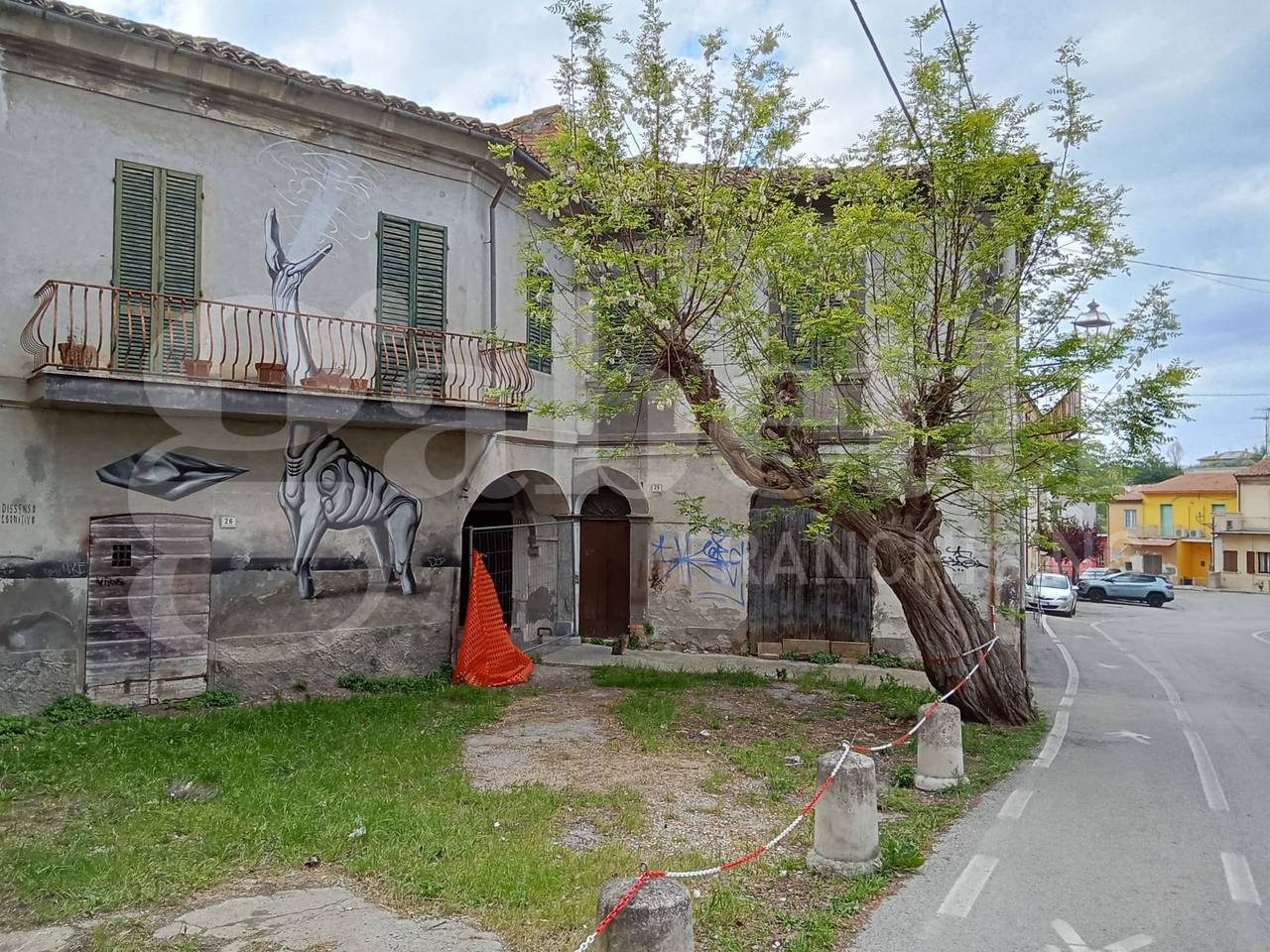 immagine annuncio 4 di 7