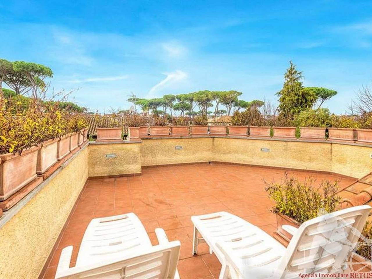 immagine annuncio 2 di 12