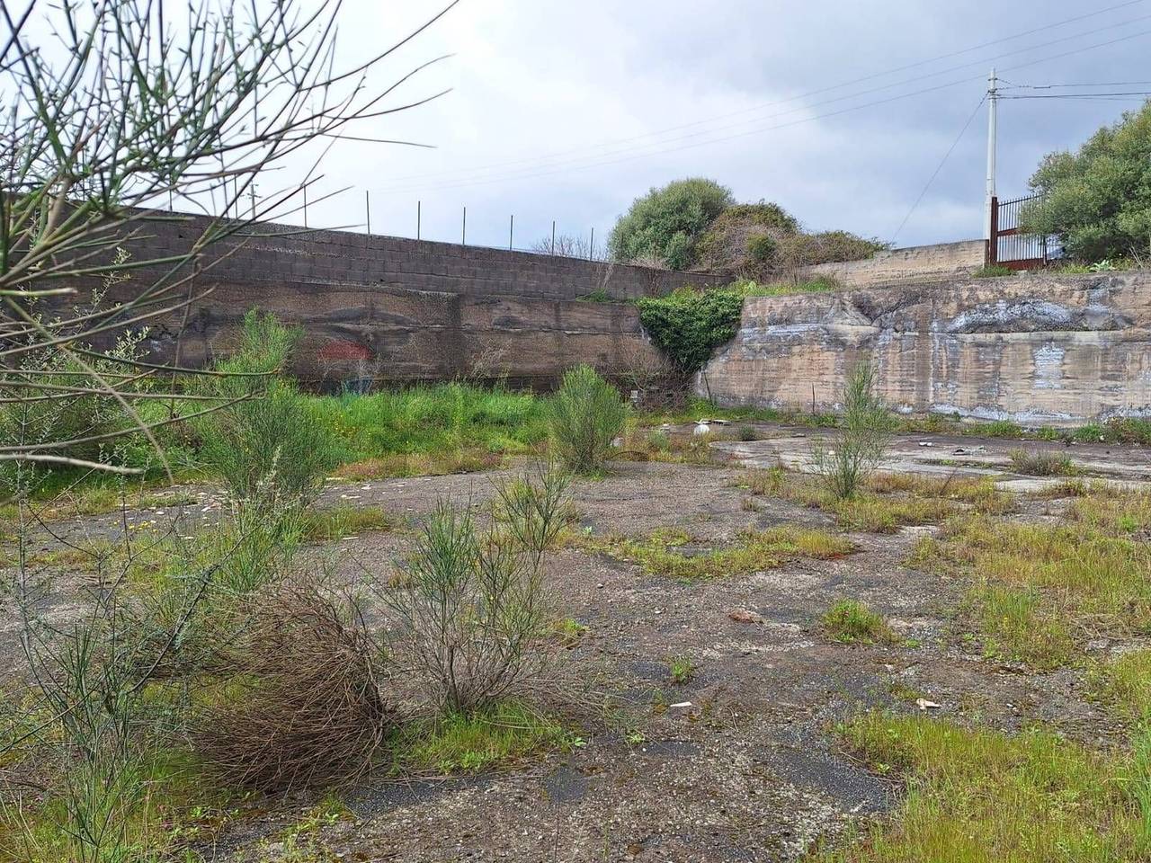 immagine annuncio 5 di 9