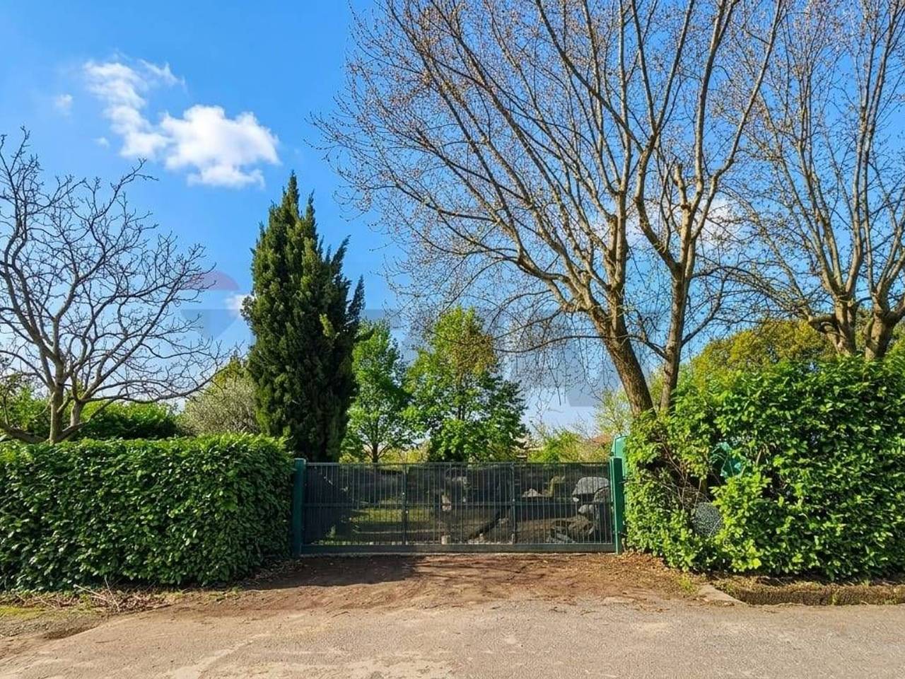 immagine annuncio 4 di 9