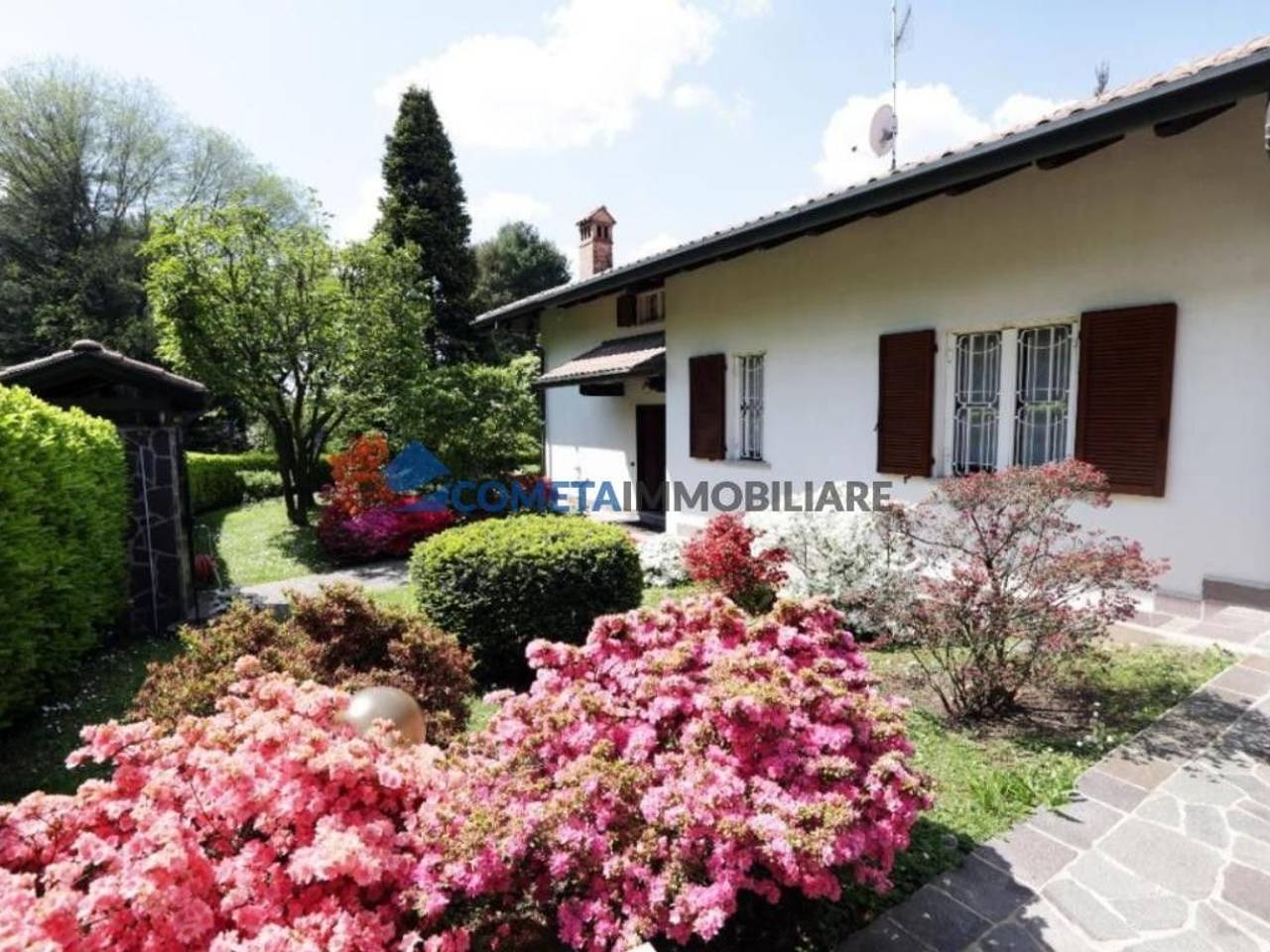 immagine annuncio 12 di 15