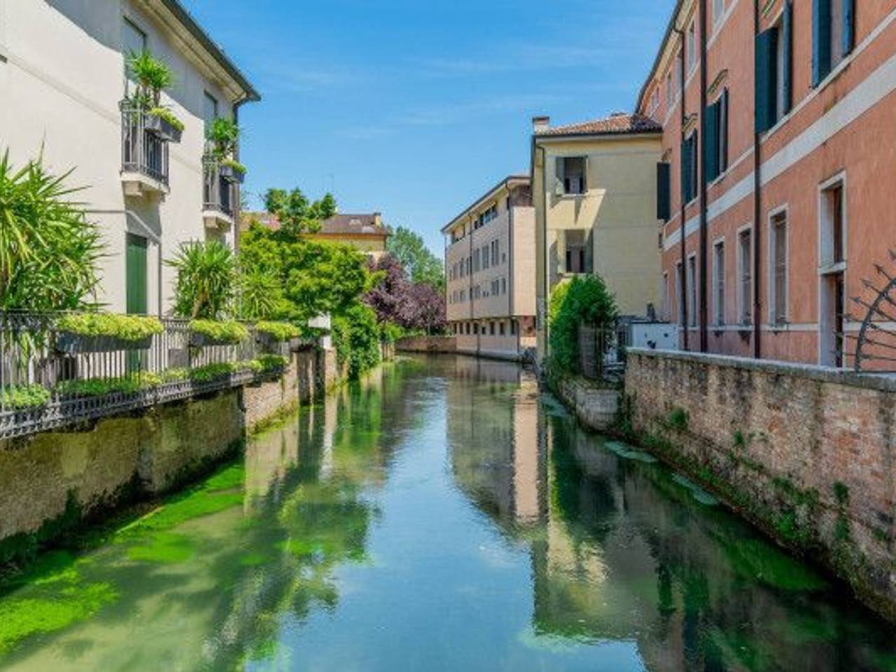 immagine annuncio 10 di 14