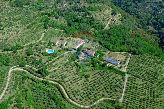 Agriturismo in vendita, Via Pulicciano 120, Castelfranco Piandiscò - Foto 1