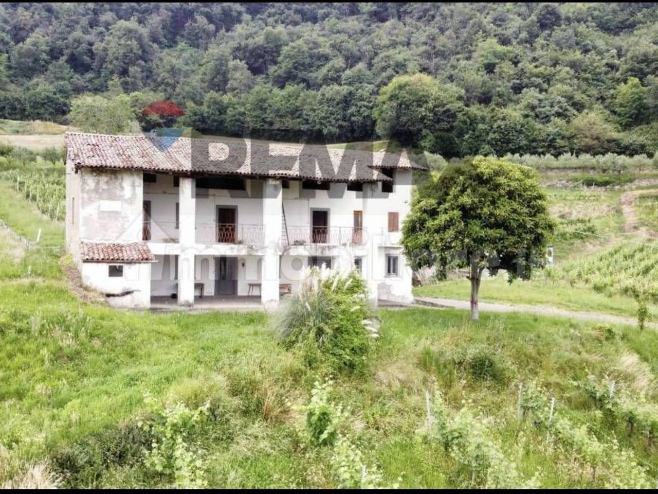 immagine annuncio 5 di 12