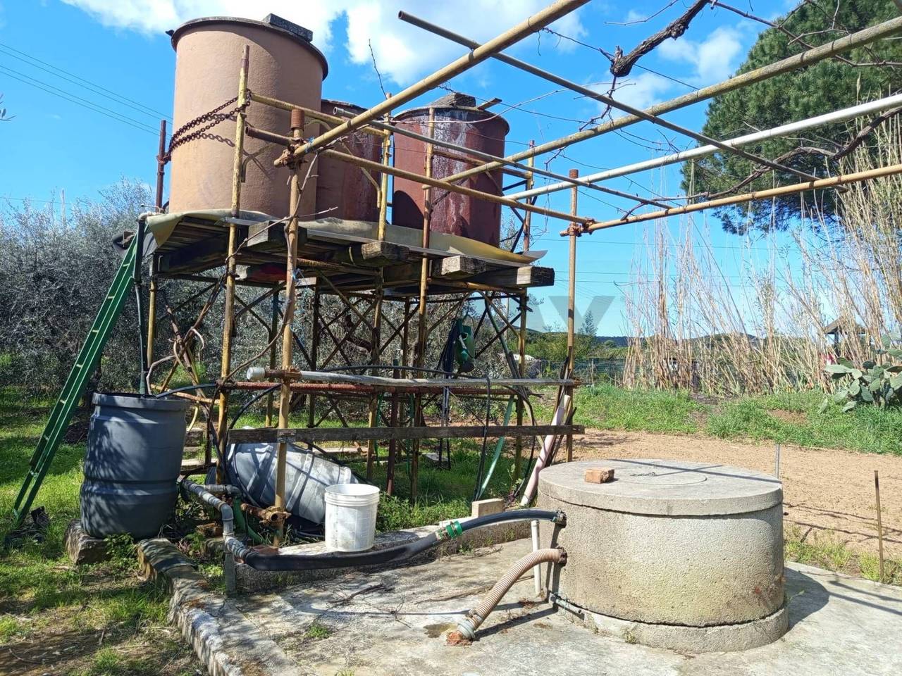 immagine annuncio 14 di 15