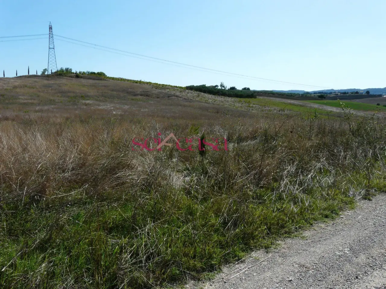 Azienda agricola in Borgo Santa Rita, Cinigiano, {3} - Foto 2