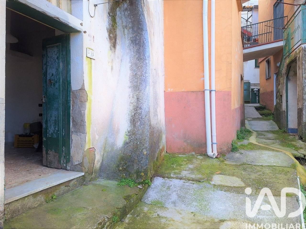 immagine annuncio 4 di 15