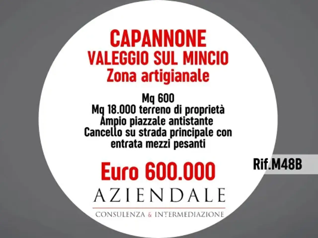 Capannone in Via Roma, Valeggio Sul Mincio, {3} - Foto 1