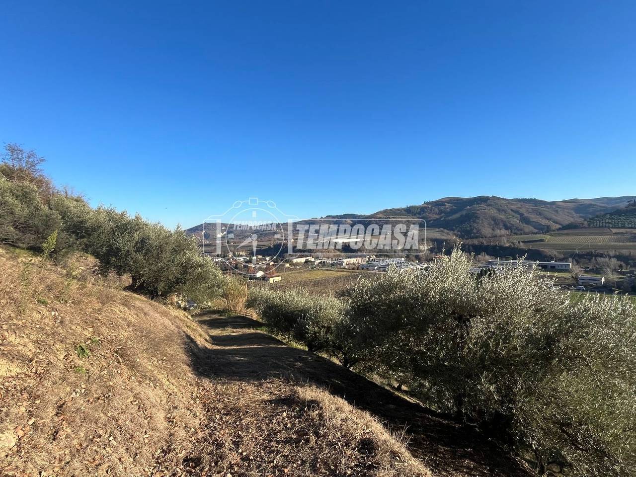 immagine annuncio 11 di 13