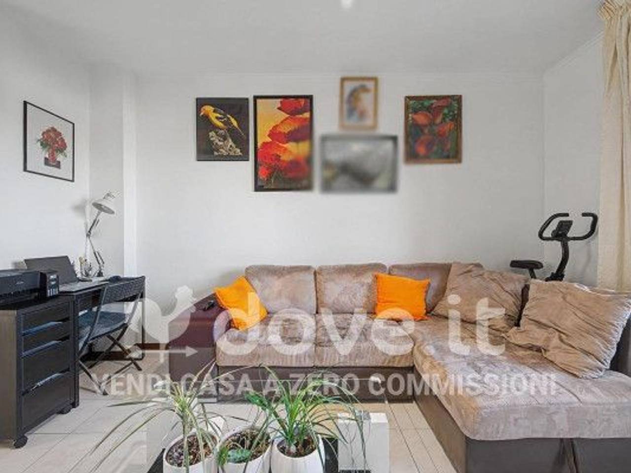 immagine annuncio 1 di 15