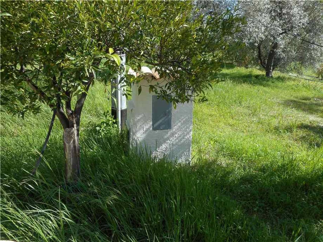 immagine annuncio 2 di 13