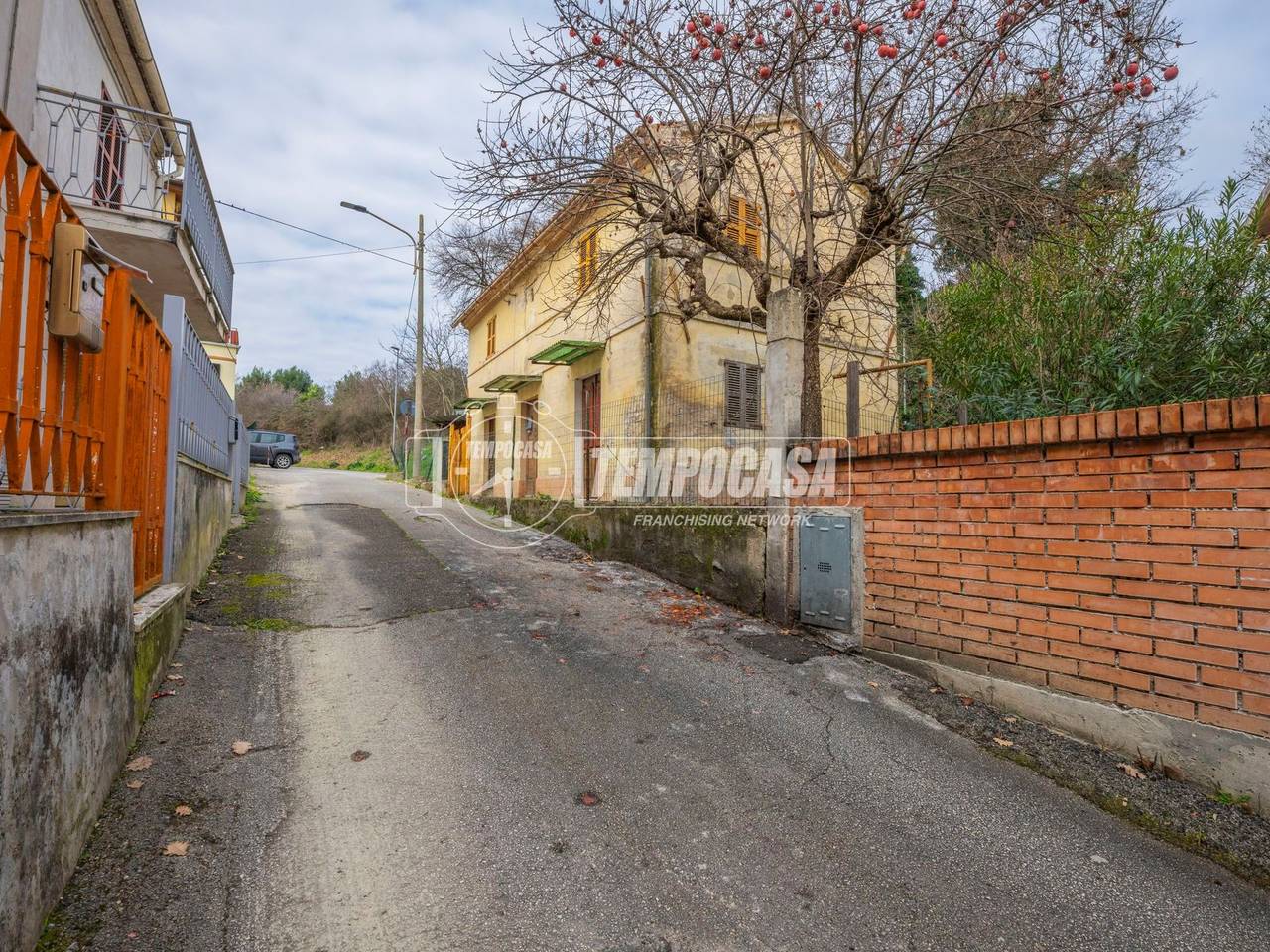 immagine annuncio 10 di 12