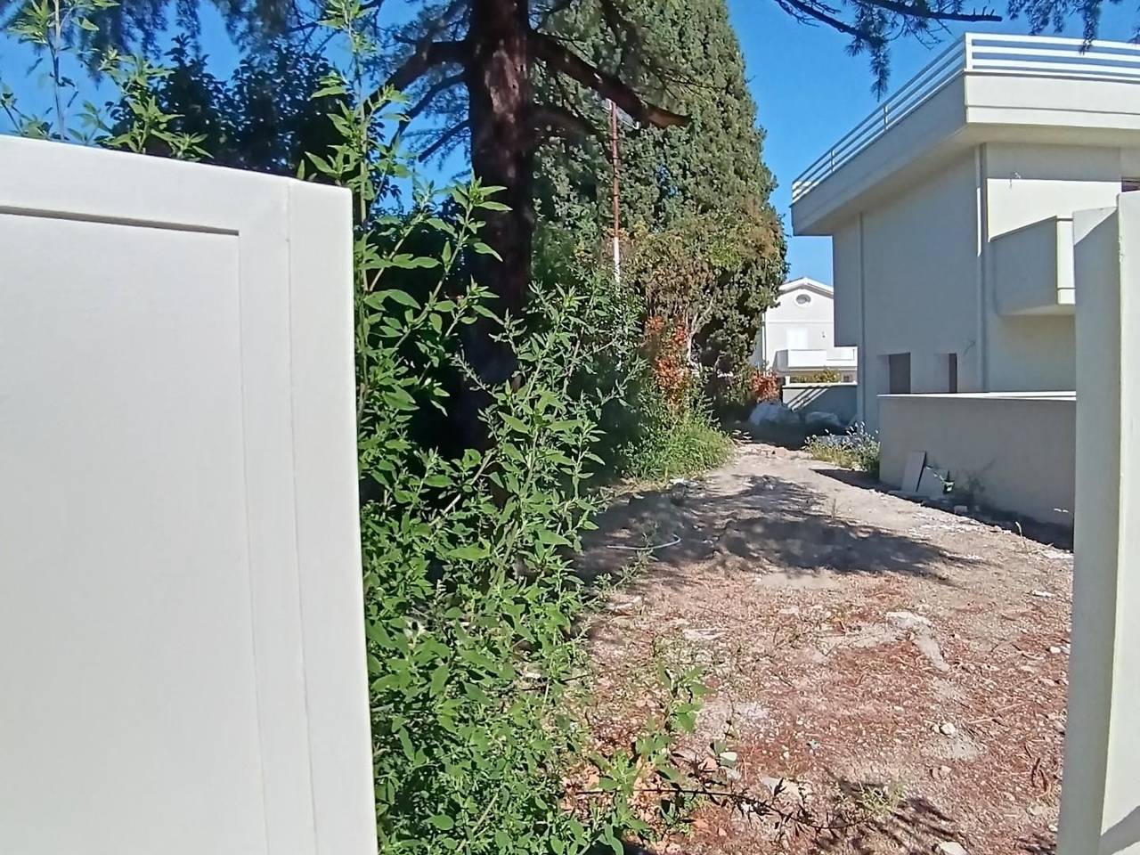 immagine annuncio 1 di 8