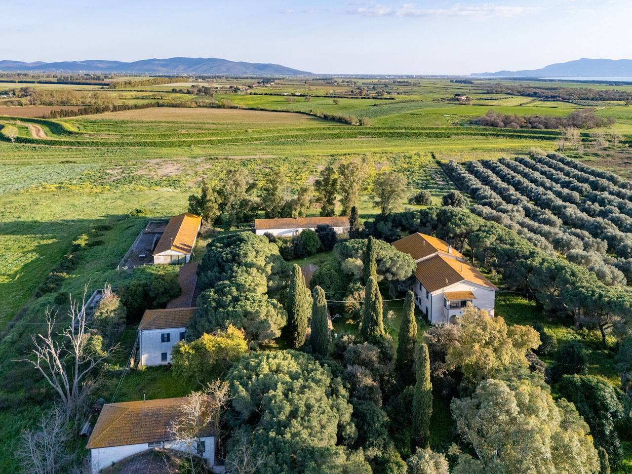 immagine annuncio 4 di 13