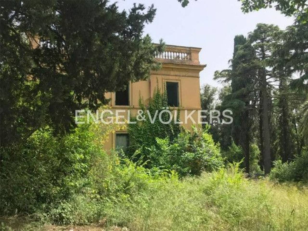 immagine annuncio 2 di 7