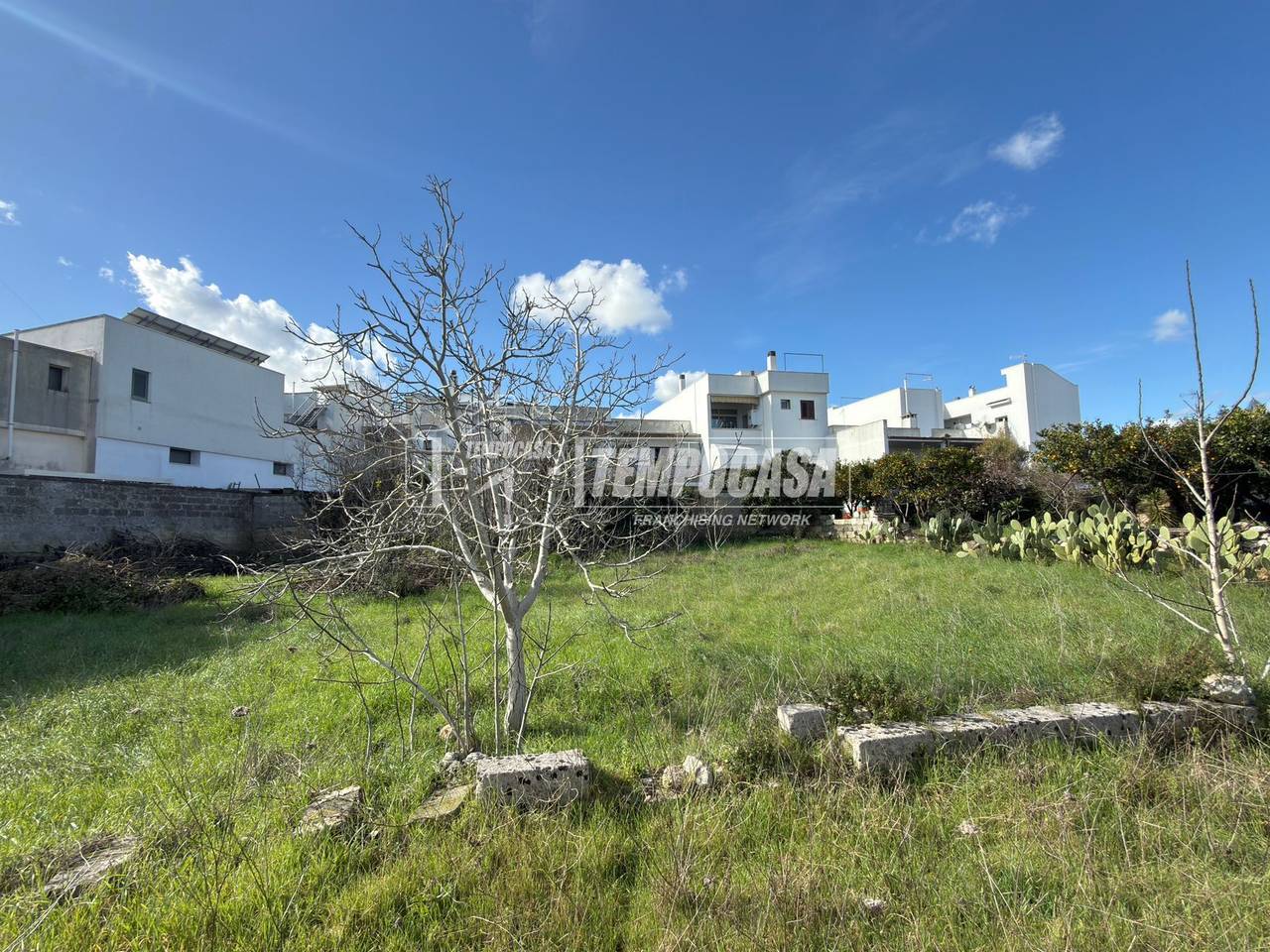 immagine annuncio 5 di 14