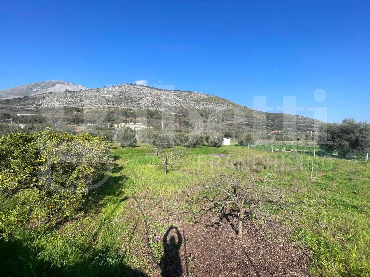 immagine annuncio 5 di 13