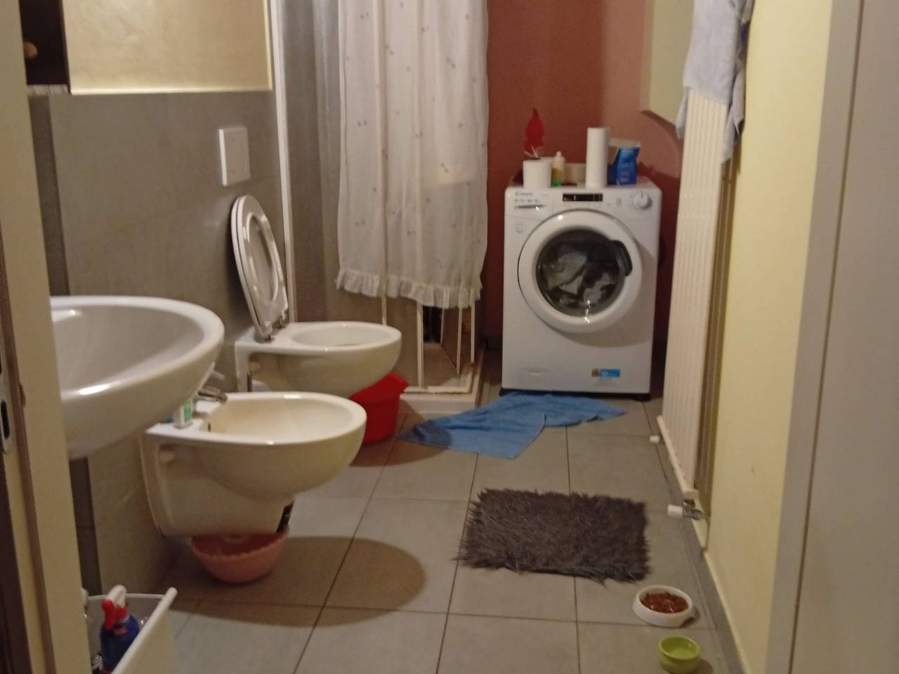 immagine annuncio 11 di 14