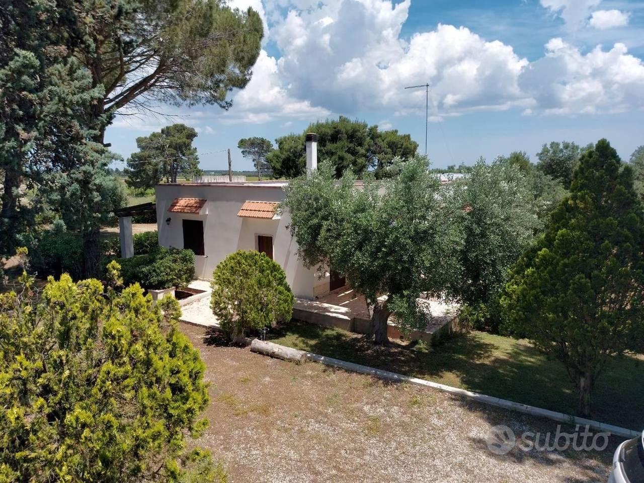 immagine annuncio 11 di 15