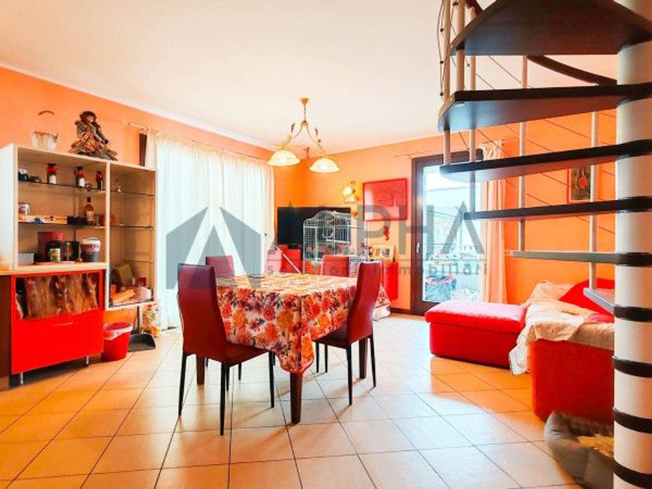 immagine annuncio 1 di 15