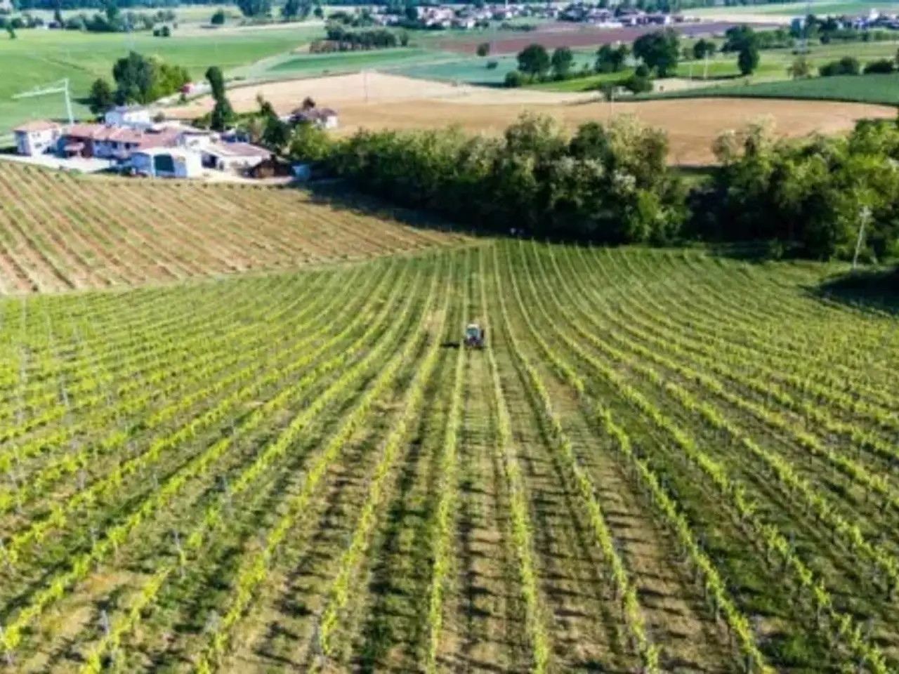 Azienda agricola in , Borgonovo Val Tidone, {3} - Foto 1