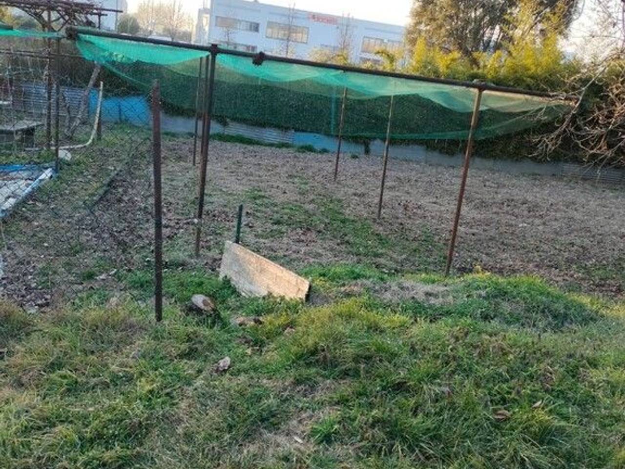 immagine annuncio 3 di 6