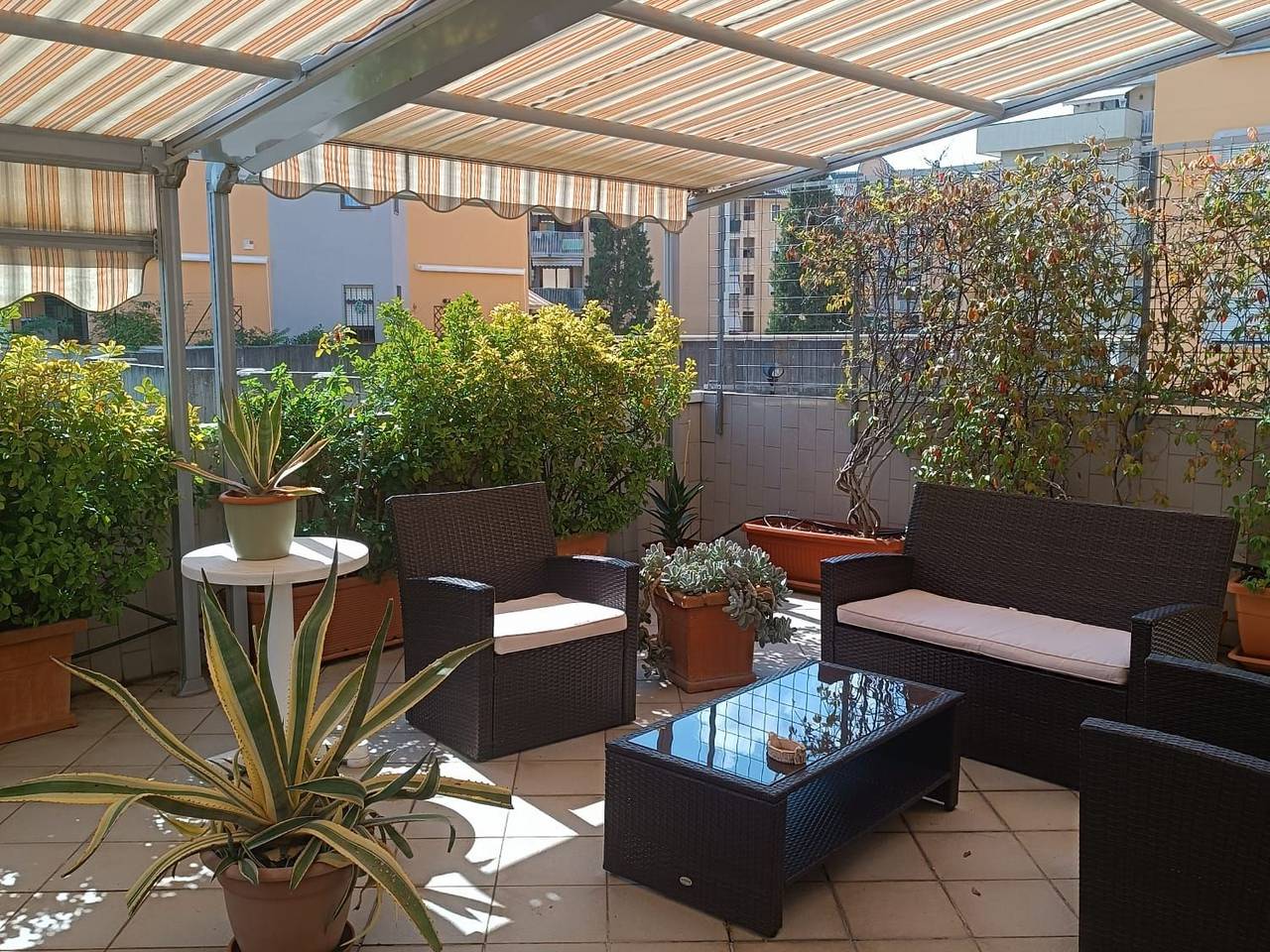 immagine annuncio 12 di 15