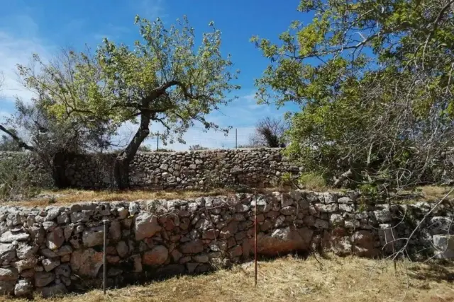 Terreno agricolo in Papa Giovanni XXIII° S.N.C., Patù - Foto 1