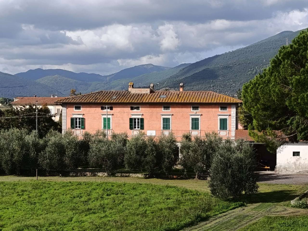 immagine annuncio 10 di 15