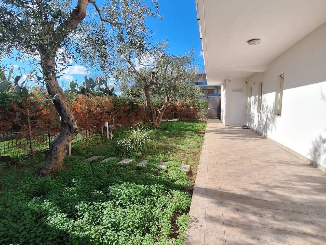 immagine annuncio 5 di 14