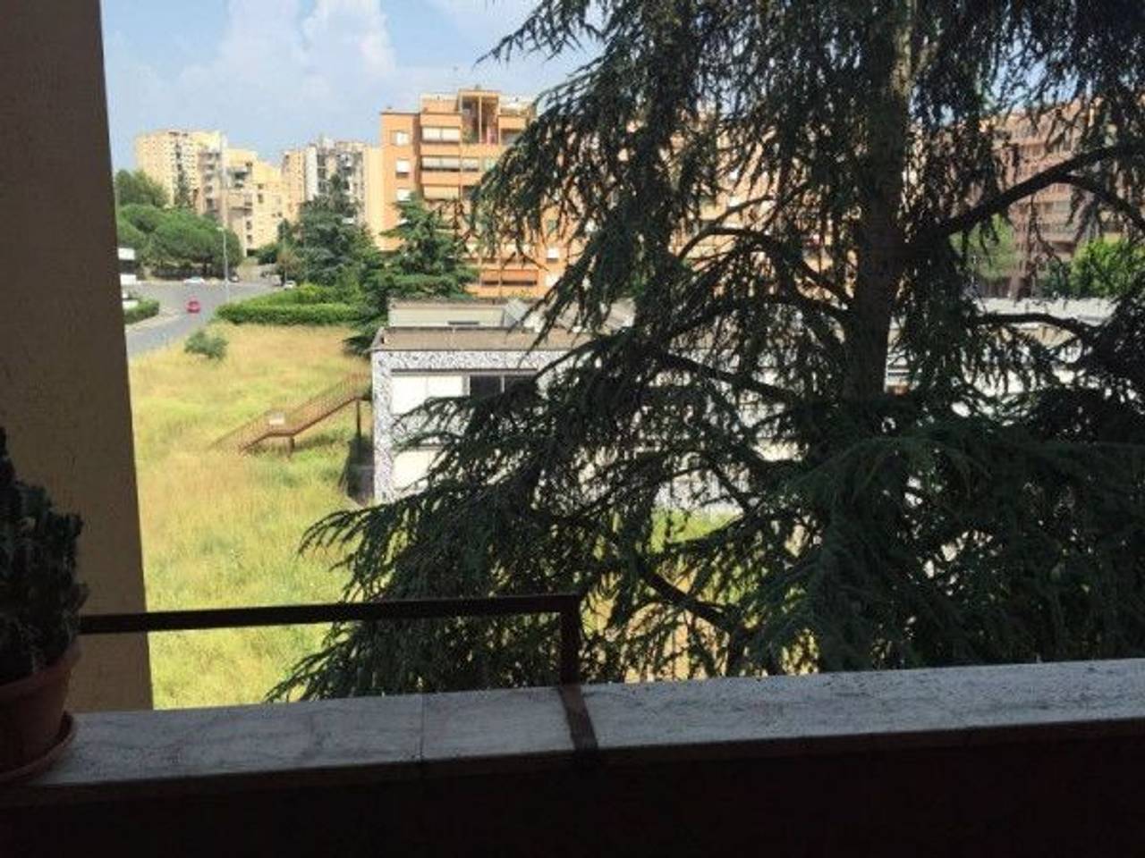 immagine annuncio 4 di 14