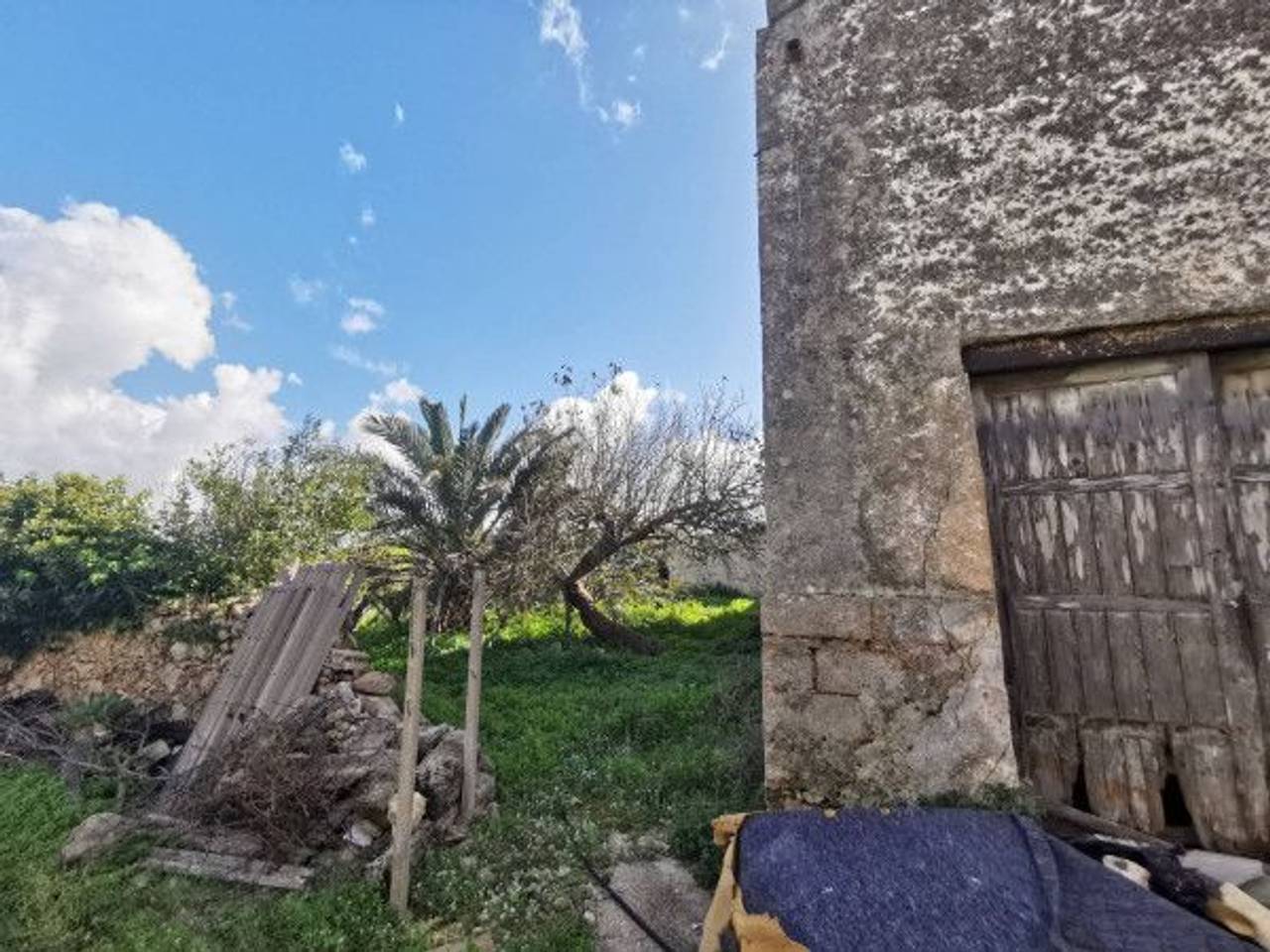 immagine annuncio 4 di 12