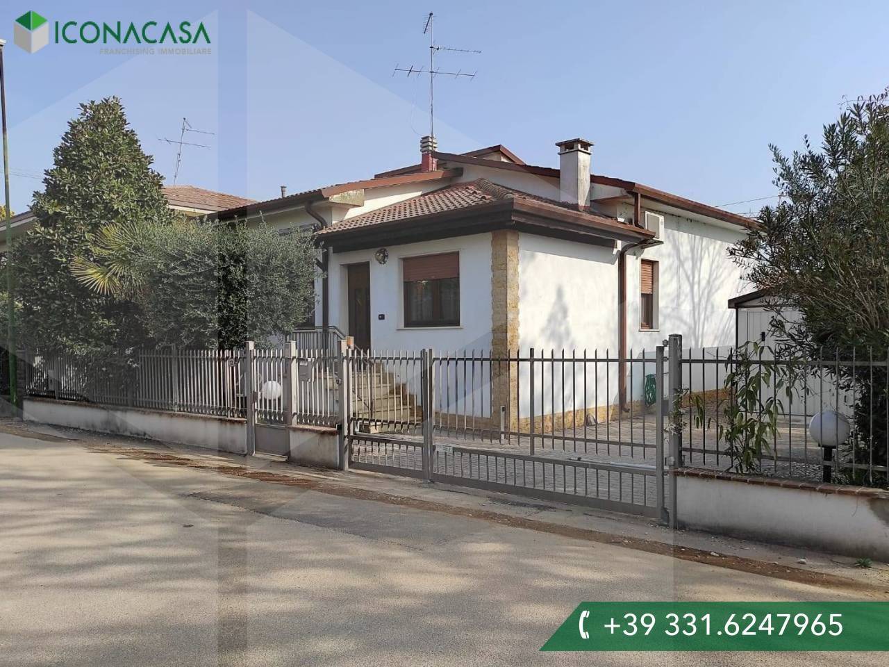 immagine annuncio 11 di 12